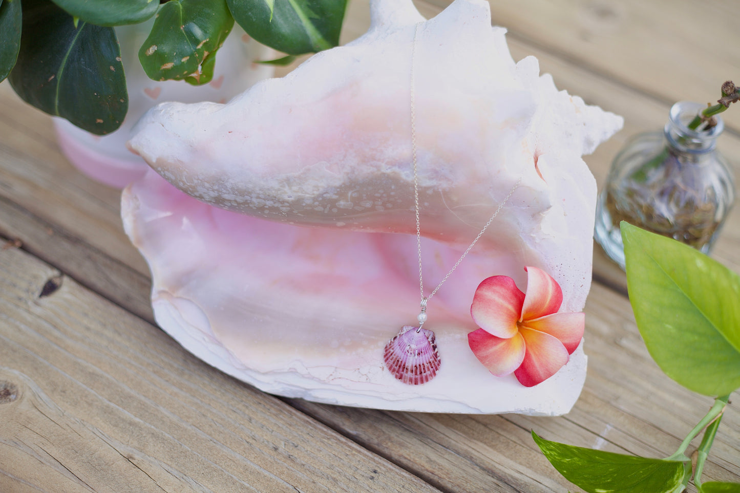 Silver Shell Necklaces