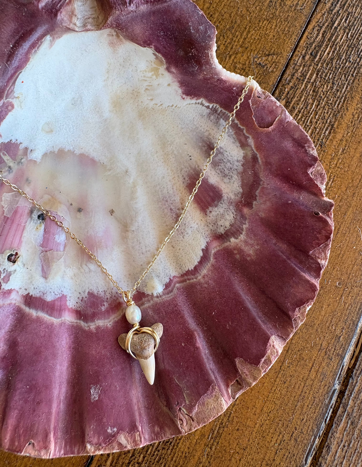 Gold filled Shark tooth necklace