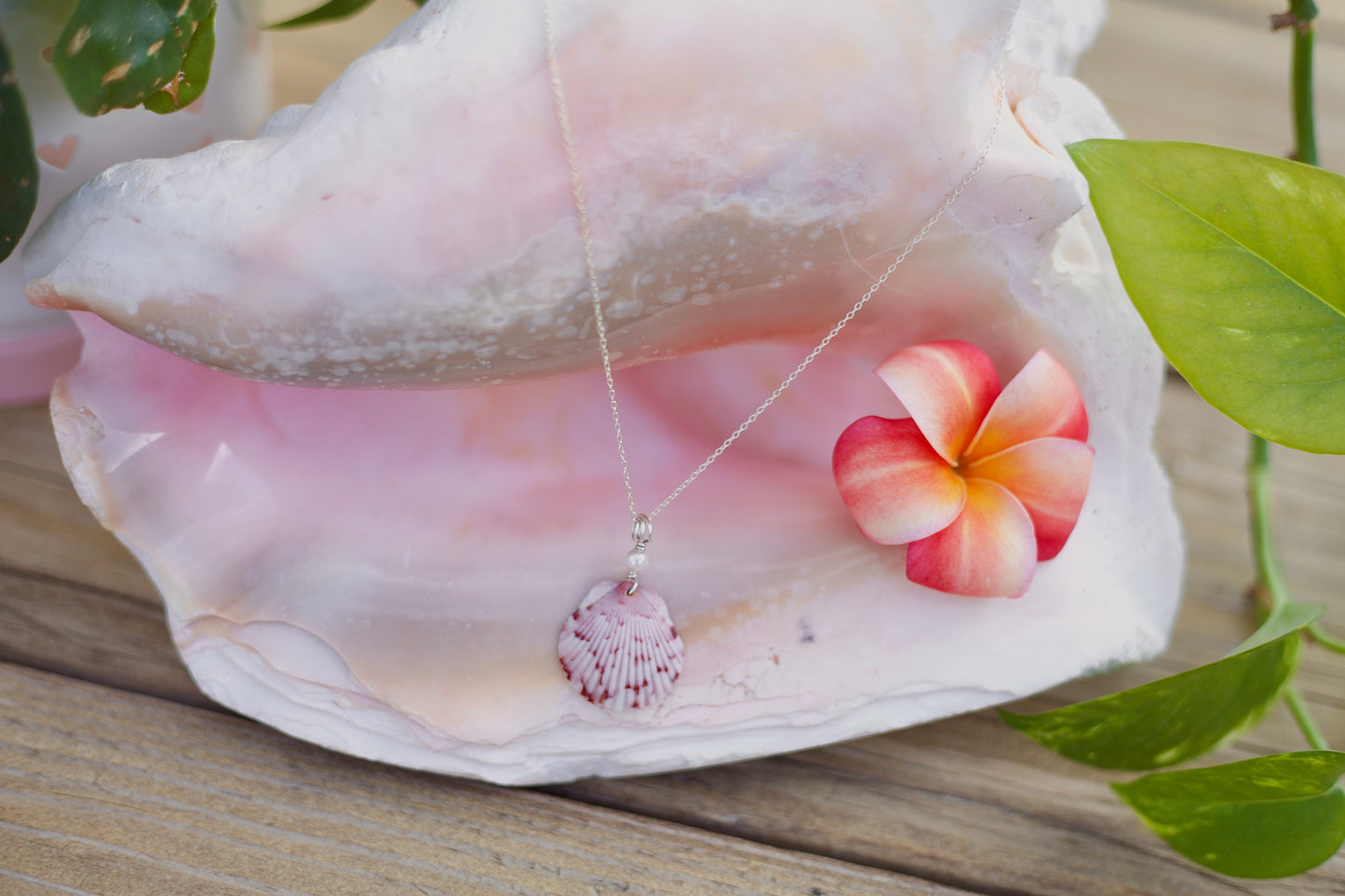 Silver Shell Necklaces