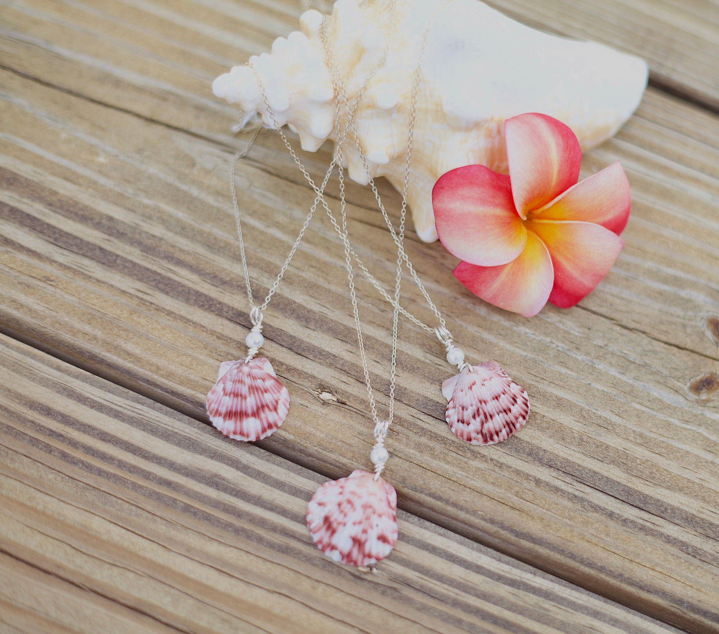 Silver Shell Necklaces