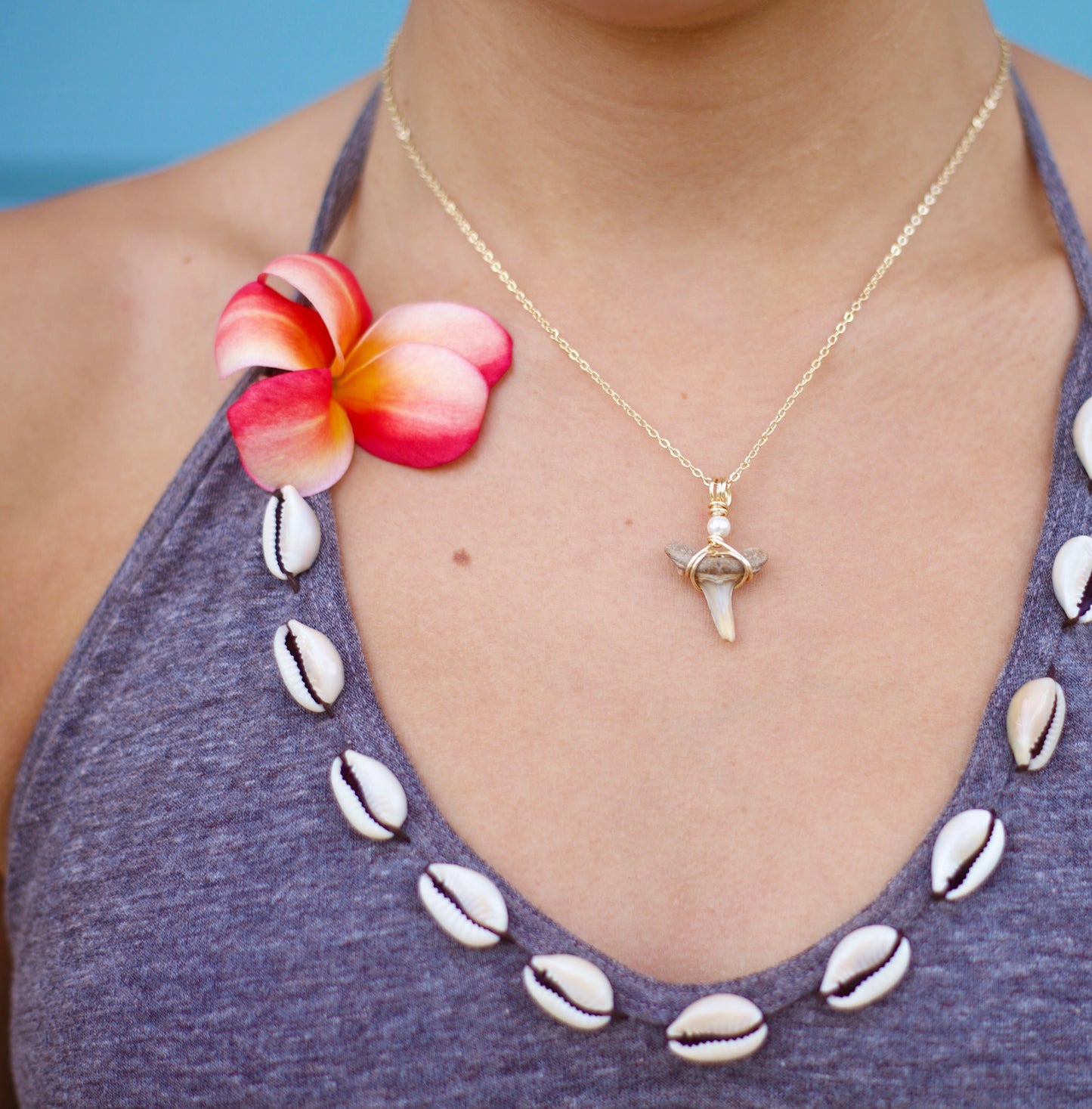 Shark Tooth Necklace