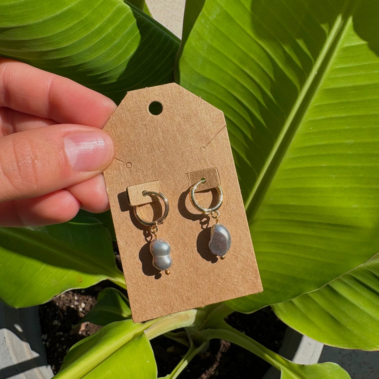 Freshwater pearl earrings