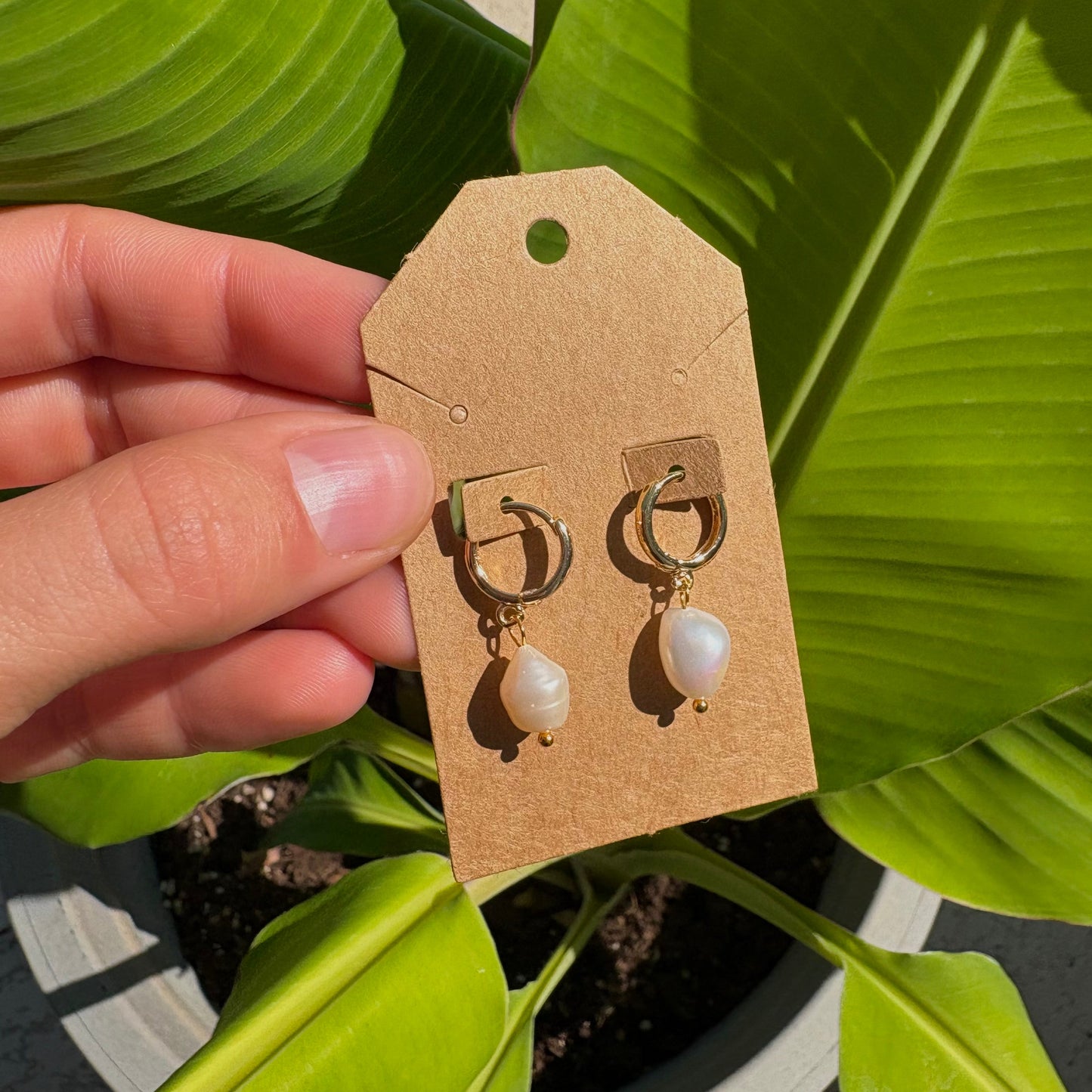 Freshwater pearl earrings