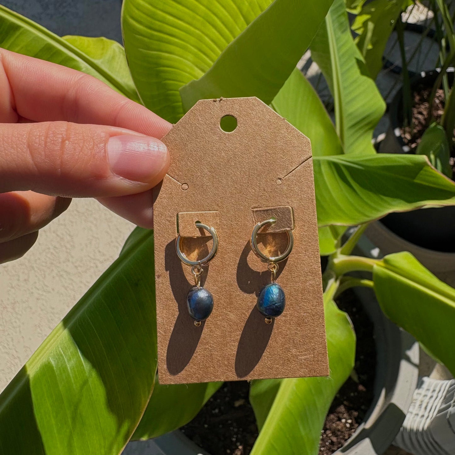 Freshwater pearl earrings