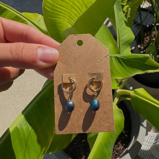 Freshwater pearl earrings