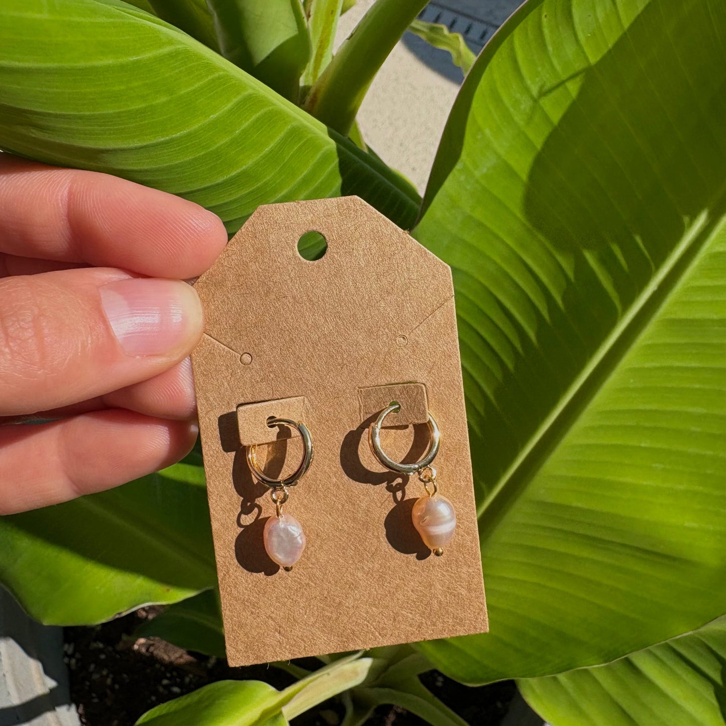 Freshwater pearl earrings