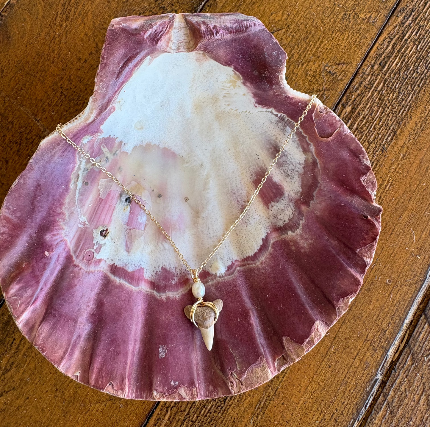 Gold filled Shark tooth necklace