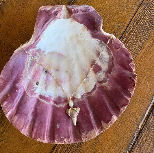 Gold filled Shark tooth necklace