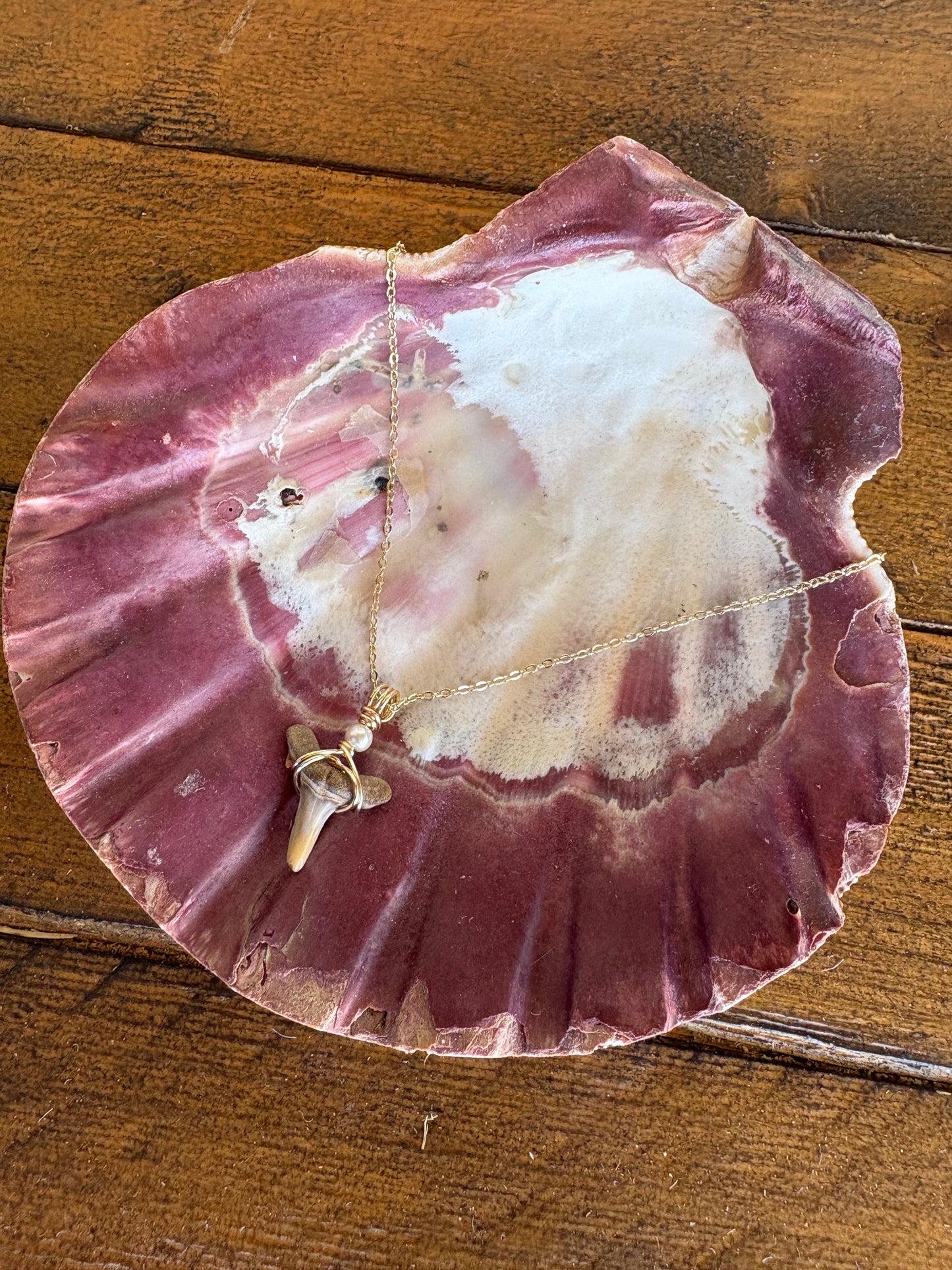 Shark Tooth Necklace